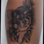 Пример Татуировки Чихуахуа 16.12.2020 №005 -Chihuahua Tattoo- tatufoto.com
