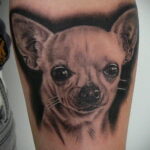 Пример Татуировки Чихуахуа 16.12.2020 №024 -Chihuahua Tattoo- tatufoto.com