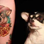 Пример Татуировки Чихуахуа 16.12.2020 №039 -Chihuahua Tattoo- tatufoto.com