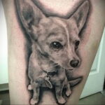 Пример Татуировки Чихуахуа 16.12.2020 №043 -Chihuahua Tattoo- tatufoto.com