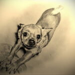 Пример Татуировки Чихуахуа 16.12.2020 №055 -Chihuahua Tattoo- tatufoto.com