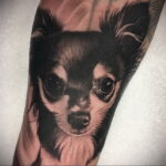 Пример Татуировки Чихуахуа 16.12.2020 №085 -Chihuahua Tattoo- tatufoto.com