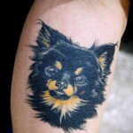Пример Татуировки Чихуахуа 16.12.2020 №107 -Chihuahua Tattoo- tatufoto.com