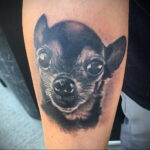 Пример Татуировки Чихуахуа 16.12.2020 №123 -Chihuahua Tattoo- tatufoto.com