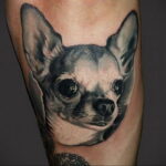 Пример Татуировки Чихуахуа 16.12.2020 №124 -Chihuahua Tattoo- tatufoto.com