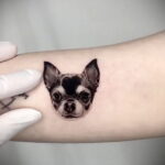 Пример Татуировки Чихуахуа 16.12.2020 №130 -Chihuahua Tattoo- tatufoto.com