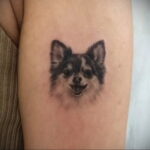 Пример Татуировки Чихуахуа 16.12.2020 №135 -Chihuahua Tattoo- tatufoto.com
