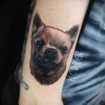 Пример Татуировки Чихуахуа 16.12.2020 №187 -Chihuahua Tattoo- tatufoto.com