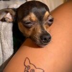 Пример Татуировки Чихуахуа 16.12.2020 №193 -Chihuahua Tattoo- tatufoto.com
