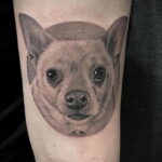 Пример Татуировки Чихуахуа 16.12.2020 №216 -Chihuahua Tattoo- tatufoto.com