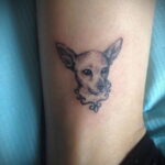 Пример Татуировки Чихуахуа 16.12.2020 №222 -Chihuahua Tattoo- tatufoto.com