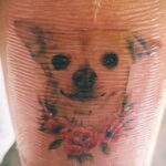Пример Татуировки Чихуахуа 16.12.2020 №224 -Chihuahua Tattoo- tatufoto.com