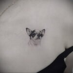 Пример Татуировки Чихуахуа 16.12.2020 №230 -Chihuahua Tattoo- tatufoto.com