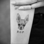 Пример Татуировки Чихуахуа 16.12.2020 №233 -Chihuahua Tattoo- tatufoto.com