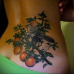 Пример рисунка татуировки апельсином 12.12.2020 №1006 -orange tattoo- tatufoto.com