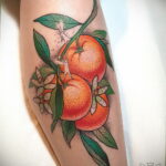 Пример рисунка татуировки апельсином 12.12.2020 №1014 -orange tattoo- tatufoto.com