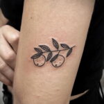Пример рисунка татуировки апельсином 12.12.2020 №1083 -orange tattoo- tatufoto.com