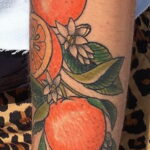 Пример рисунка татуировки апельсином 12.12.2020 №1123 -orange tattoo- tatufoto.com