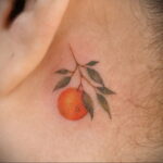 Пример рисунка татуировки апельсином 12.12.2020 №1138 -orange tattoo- tatufoto.com