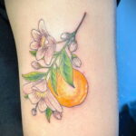 Пример рисунка татуировки апельсином 12.12.2020 №1214 -orange tattoo- tatufoto.com