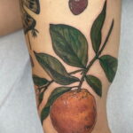 Пример рисунка татуировки апельсином 12.12.2020 №1242 -orange tattoo- tatufoto.com