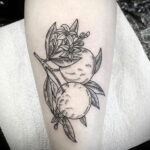 Пример рисунка татуировки апельсином 12.12.2020 №1254 -orange tattoo- tatufoto.com