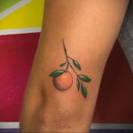 Пример рисунка татуировки апельсином 12.12.2020 №1299 -orange tattoo- tatufoto.com