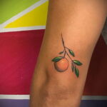 Пример рисунка татуировки апельсином 12.12.2020 №1302 -orange tattoo- tatufoto.com