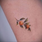 Пример рисунка татуировки апельсином 12.12.2020 №1324 -orange tattoo- tatufoto.com