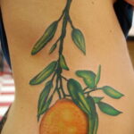 Пример рисунка татуировки апельсином 12.12.2020 №1374 -orange tattoo- tatufoto.com