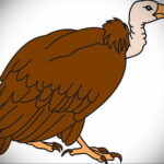 Пример рисунка татуировки птица Гриф 13.12.2020 №012 -tattoo vulture- tatufoto.com