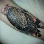 Пример рисунка татуировки птица Гриф 13.12.2020 №022 -tattoo vulture- tatufoto.com