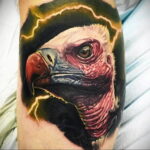 Пример рисунка татуировки птица Гриф 13.12.2020 №087 -tattoo vulture- tatufoto.com