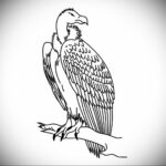 Пример рисунка татуировки птица Гриф 13.12.2020 №104 -tattoo vulture- tatufoto.com