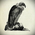 Пример рисунка татуировки птица Гриф 13.12.2020 №134 -tattoo vulture- tatufoto.com