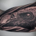 Пример рисунка татуировки птица Гриф 13.12.2020 №161 -tattoo vulture- tatufoto.com