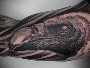 Фото тату реалистичной головы орла в черно-серых тонах на предплечье. Детализированное изображение с акцентом на взгляд и текстуру перьев.