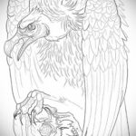 Пример рисунка татуировки птица Гриф 13.12.2020 №264 -tattoo vulture- tatufoto.com