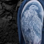 Пример рисунка татуировки птица Гриф 13.12.2020 №307 -tattoo vulture- tatufoto.com