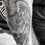 Пример рисунка татуировки птица Гриф 13.12.2020 №336 -tattoo vulture- tatufoto.com