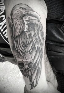 Пример рисунка татуировки птица Гриф 13.12.2020 №336 -tattoo vulture- tatufoto.com