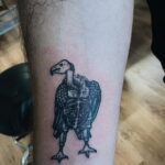 Пример рисунка татуировки птица Гриф 13.12.2020 №396 -tattoo vulture- tatufoto.com