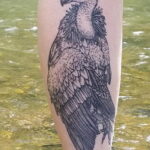 Пример рисунка татуировки птица Гриф 13.12.2020 №400 -tattoo vulture- tatufoto.com