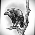Пример рисунка татуировки птица Гриф 13.12.2020 №443 -tattoo vulture- tatufoto.com