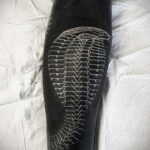 Пример черно белого рисунка тату 14.12.2020 №031 -black and white tatt- tatufoto.com