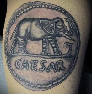 Фото тату с изображением слона и надписи "Caesar" в круглой рамке на руке. Рисунок выполнен в черно-серых тонах с использованием реалистичных деталей.