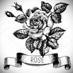 Эскиз для тату роза на предплечье 01.12.2020 №018 -rose tattoo- tatufoto.com