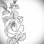 Эскиз для тату роза на предплечье 01.12.2020 №026 -rose tattoo- tatufoto.com