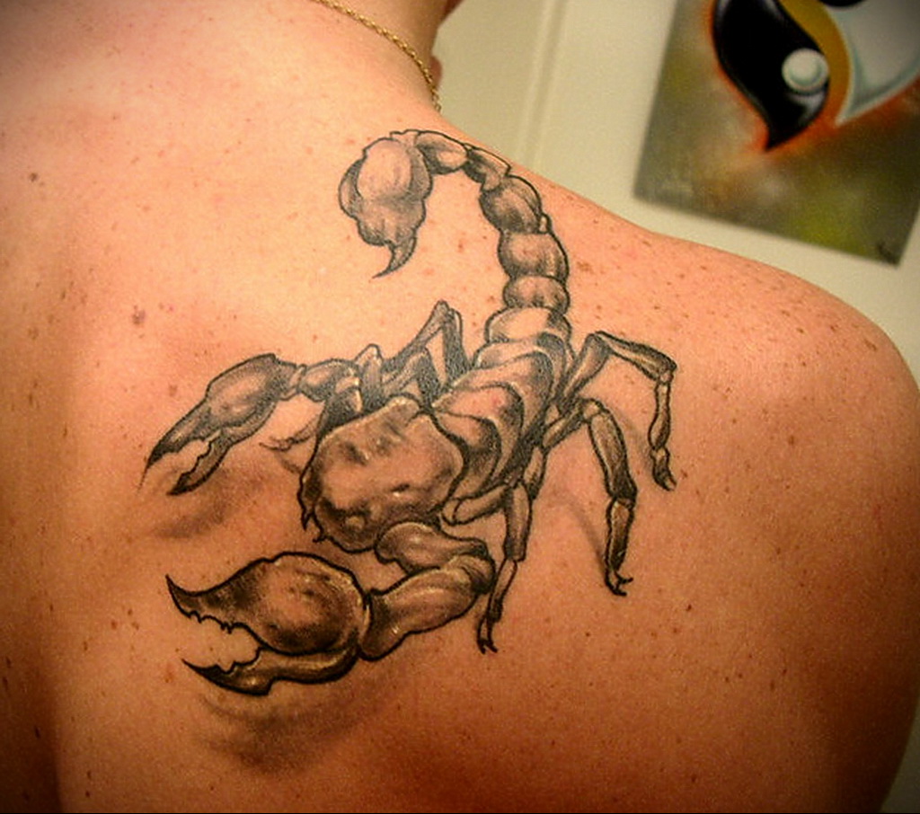 Пример рисунка татуировки скорпион 16.01.2021 № 0013 -scorpion tattoo- tatu...