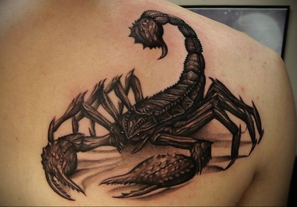 Пример рисунка татуировки скорпион 16.01.2021 № 0151 -scorpion tattoo- tatu...